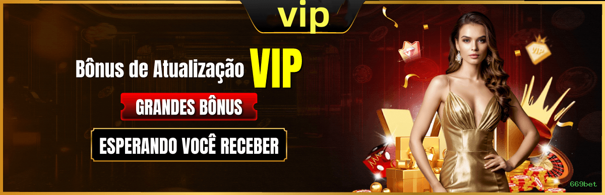 Suporte VIP 669bet - atendimento prioritário